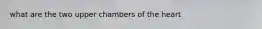 what are the two upper chambers of the heart