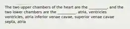 The two upper chambers of the heart are the __________, and the two lower chambers are the __________. atria, ventricles ventricles, atria inferior venae cavae, superior venae cavae septa, atria