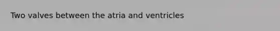 Two valves between the atria and ventricles