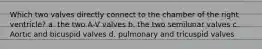 Which two valves directly connect to the chamber of the right ventricle? a. the two A-V valves b. the two semilunar valves c. Aortic and bicuspid valves d. pulmonary and tricuspid valves