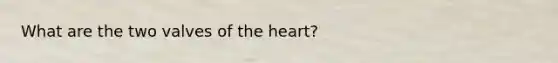 What are the two valves of the heart?