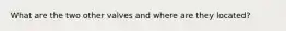 What are the two other valves and where are they located?