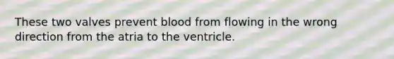 These two valves prevent blood from flowing in the wrong direction from the atria to the ventricle.