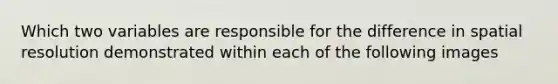 Which two variables are responsible for the difference in spatial resolution demonstrated within each of the following images