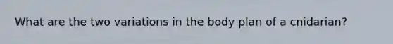 What are the two variations in the body plan of a cnidarian?