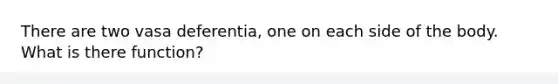 There are two vasa deferentia, one on each side of the body. What is there function?