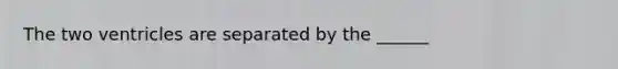 The two ventricles are separated by the ______