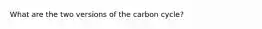 What are the two versions of the carbon cycle?