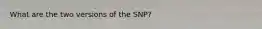 What are the two versions of the SNP?