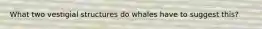 What two vestigial structures do whales have to suggest this?
