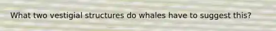 What two vestigial structures do whales have to suggest this?