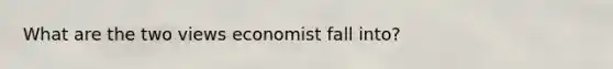 What are the two views economist fall into?