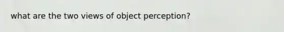 what are the two views of object perception?