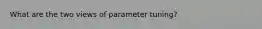 What are the two views of parameter tuning?