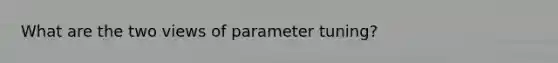 What are the two views of parameter tuning?