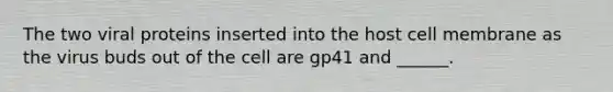 The two viral proteins inserted into the host cell membrane as the virus buds out of the cell are gp41 and ______.