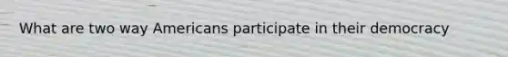 What are two way Americans participate in their democracy