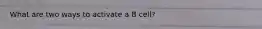 What are two ways to activate a B cell?