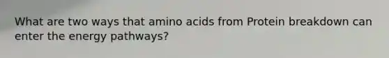 What are two ways that amino acids from Protein breakdown can enter the energy pathways?