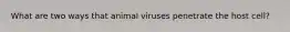 What are two ways that animal viruses penetrate the host cell?