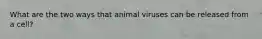 What are the two ways that animal viruses can be released from a cell?