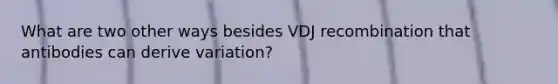 What are two other ways besides VDJ recombination that antibodies can derive variation?