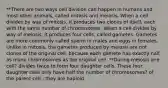 **There are two ways cell division can happen in humans and most other animals, called mitosis and meiosis. When a cell divides by way of mitosis, it produces two clones of itself, each with the same number of chromosomes. When a cell divides by way of meiosis, it produces four cells, called gametes. Gametes are more commonly called sperm in males and eggs in females. Unlike in mitosis, the gametes produced by meiosis are not clones of the original cell, because each gamete has exactly half as many chromosomes as the original cell. **During meiosis one cell? divides twice to form four daughter cells. These four daughter cells only have half the number of chromosomes? of the parent cell - they are haploid.