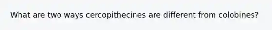 What are two ways cercopithecines are different from colobines?