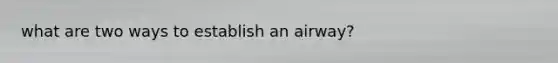 what are two ways to establish an airway?