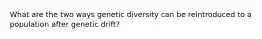 What are the two ways genetic diversity can be reintroduced to a population after genetic drift?