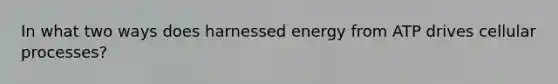 In what two ways does harnessed energy from ATP drives cellular processes?