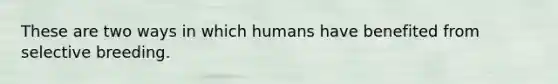 These are two ways in which humans have benefited from selective breeding.