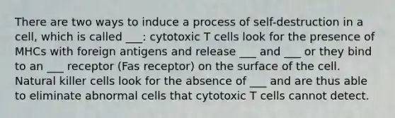 There are two ways to induce a process of self-destruction in a cell, which is called ___: cytotoxic T cells look for the presence of MHCs with foreign antigens and release ___ and ___ or they bind to an ___ receptor (Fas receptor) on the surface of the cell. Natural killer cells look for the absence of ___ and are thus able to eliminate abnormal cells that cytotoxic T cells cannot detect.