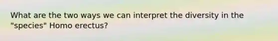 What are the two ways we can interpret the diversity in the "species" Homo erectus?