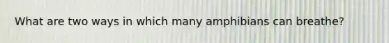 What are two ways in which many amphibians can breathe?