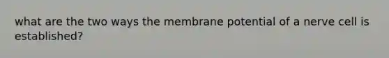 what are the two ways the membrane potential of a nerve cell is established?