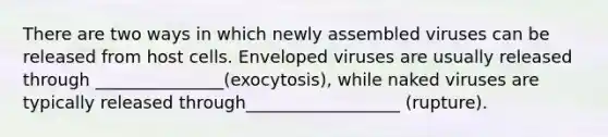 There are two ways in which newly assembled viruses can be released from host cells. Enveloped viruses are usually released through _______________(exocytosis), while naked viruses are typically released through__________________ (rupture).