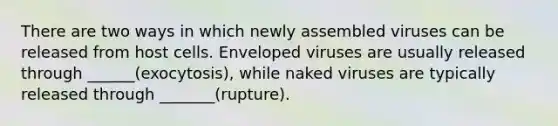 There are two ways in which newly assembled viruses can be released from host cells. Enveloped viruses are usually released through ______(exocytosis), while naked viruses are typically released through _______(rupture).