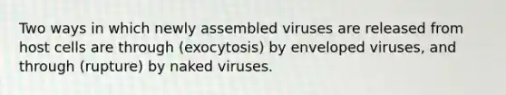 Two ways in which newly assembled viruses are released from host cells are through (exocytosis) by enveloped viruses, and through (rupture) by naked viruses.