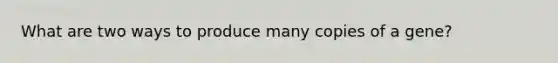 What are two ways to produce many copies of a gene?