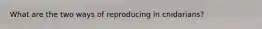 What are the two ways of reproducing in cnidarians?