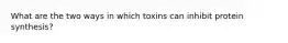 What are the two ways in which toxins can inhibit protein synthesis?