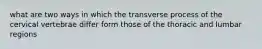 what are two ways in which the transverse process of the cervical vertebrae differ form those of the thoracic and lumbar regions