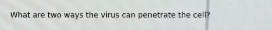 What are two ways the virus can penetrate the cell?