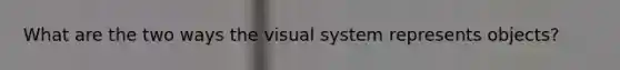 What are the two ways the visual system represents objects?