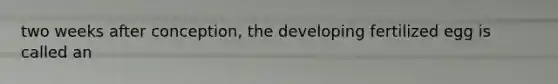 two weeks after conception, the developing fertilized egg is called an