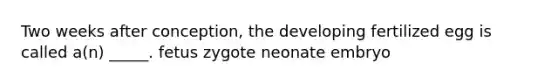 Two weeks after conception, the developing fertilized egg is called a(n) _____. fetus zygote neonate embryo