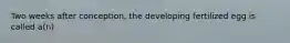 Two weeks after conception, the developing fertilized egg is called a(n)