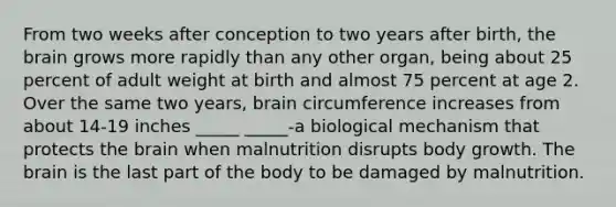 From two weeks after conception to two years after birth, the brain grows more rapidly than any other organ, being about 25 percent of adult weight at birth and almost 75 percent at age 2. Over the same two years, brain circumference increases from about 14-19 inches _____ _____-a biological mechanism that protects the brain when malnutrition disrupts body growth. The brain is the last part of the body to be damaged by malnutrition.