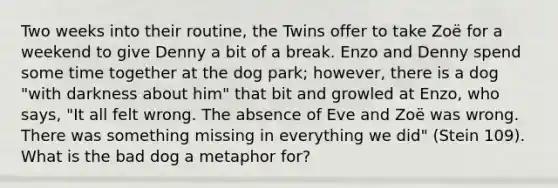 Two weeks into their routine, the Twins offer to take Zoë for a weekend to give Denny a bit of a break. Enzo and Denny spend some time together at the dog park; however, there is a dog "with darkness about him" that bit and growled at Enzo, who says, "It all felt wrong. The absence of Eve and Zoë was wrong. There was something missing in everything we did" (Stein 109). What is the bad dog a metaphor for?